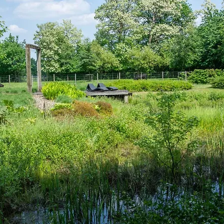 De Grote Kievit Geel